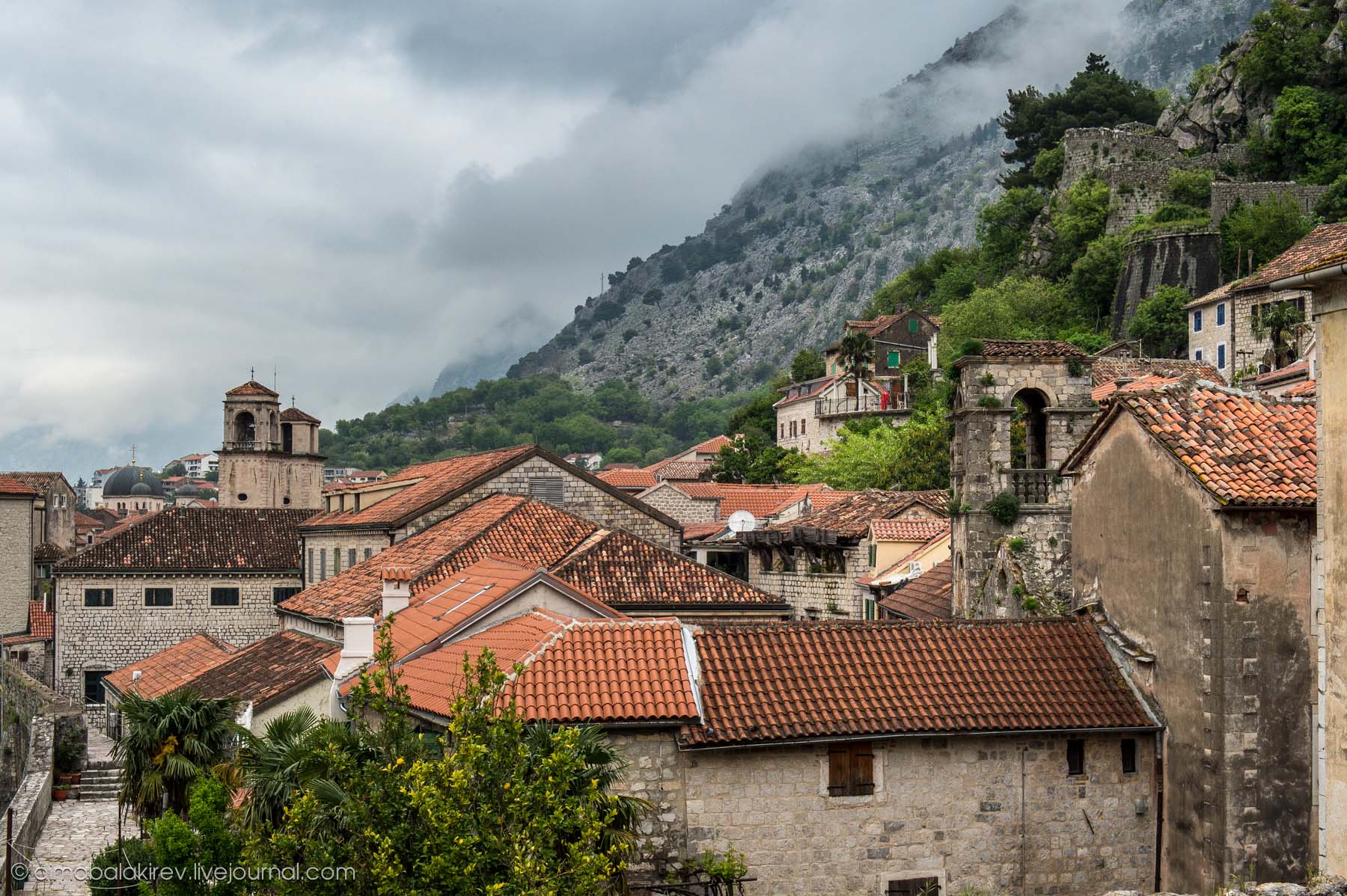 Kotor